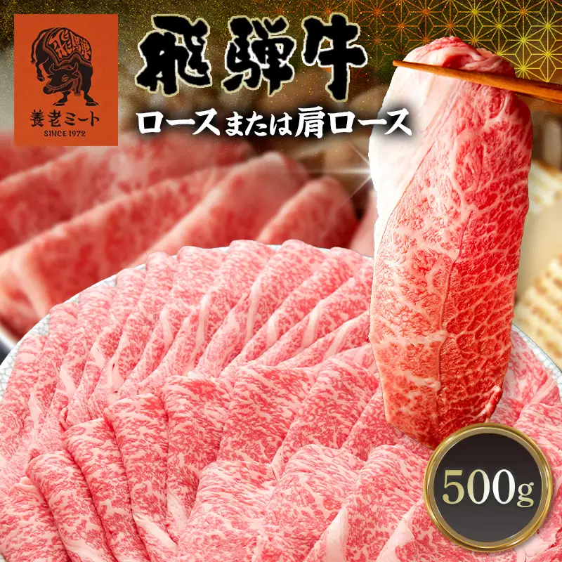 飛騨牛 ロース 肩ロース 500g すき焼き しゃぶしゃぶ 牛肉 和牛肉 霜降り カタロース 岐阜県 坂祝町 養老ミート お取り寄せ グルメ ギフト 御祝 内祝 2 人前 3 人前 鍋 セット  F6M-398
