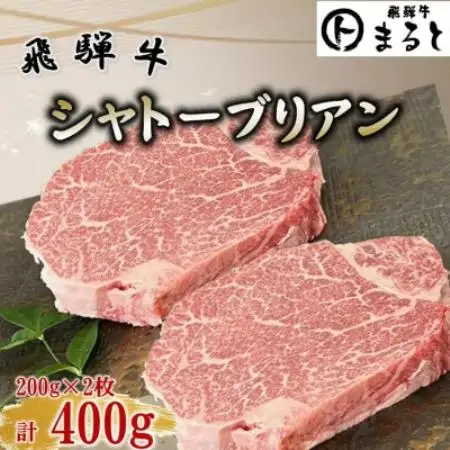 飛騨牛ヒレ ステーキ　シャトーブリアン 計400g(200g×2枚)【配送不可地域：離島】【1746490】