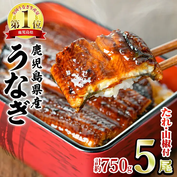 東串良町 うなぎ 蒲焼 (無頭)(5尾・計約750g・タレ、山椒付) 高級 ウナギ 鰻 国産 たれ 鹿児島 ふるさと 人気【アクアおおすみ】【0294315a】