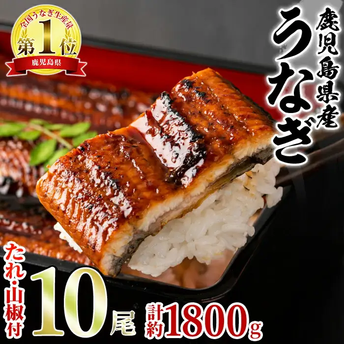 東串良町 うなぎ 蒲焼 (無頭)(10尾・計約1,800g・タレ、山椒付) 高級 ウナギ 鰻 国産 たれ 鹿児島 ふるさと 人気【アクアおおすみ】【0634364a】