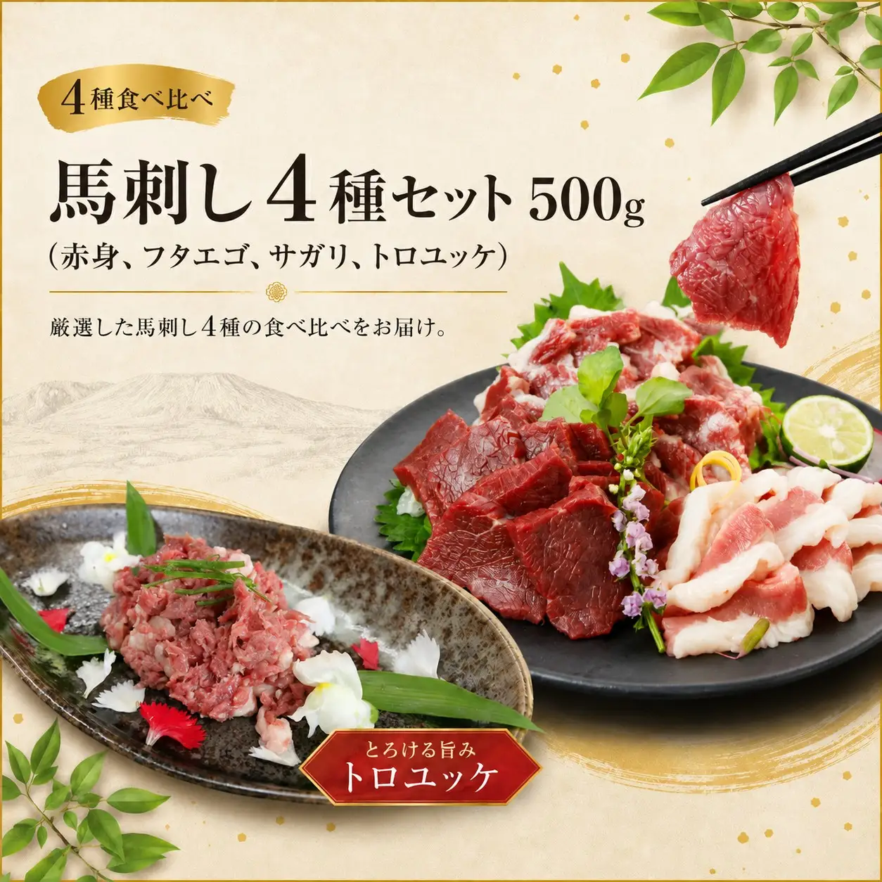 馬刺し 4種セット 500g（赤身、フタエゴ、サガリ、トロユッケ） 馬刺しの長野屋【017-31】