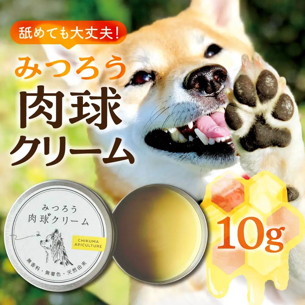 【11月～4月お届け】 国産はちみつ 肉球クリーム お試しサイズ 10g  肉球 クリーム ペット 犬 愛犬 グッズ 国産 トチ 百花 はちみつ ハチミツ 蜂蜜 チクマ養蜂 岐阜県産