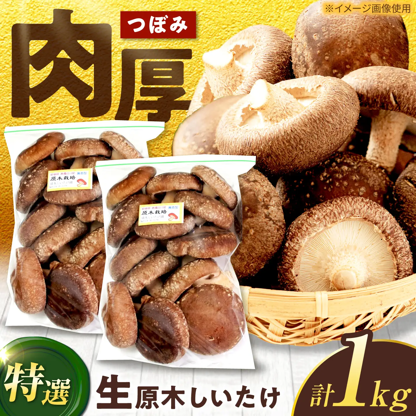 生しいたけ つぼみ 1kg / 清水しいたけ園[AWAY005]生しいたけ