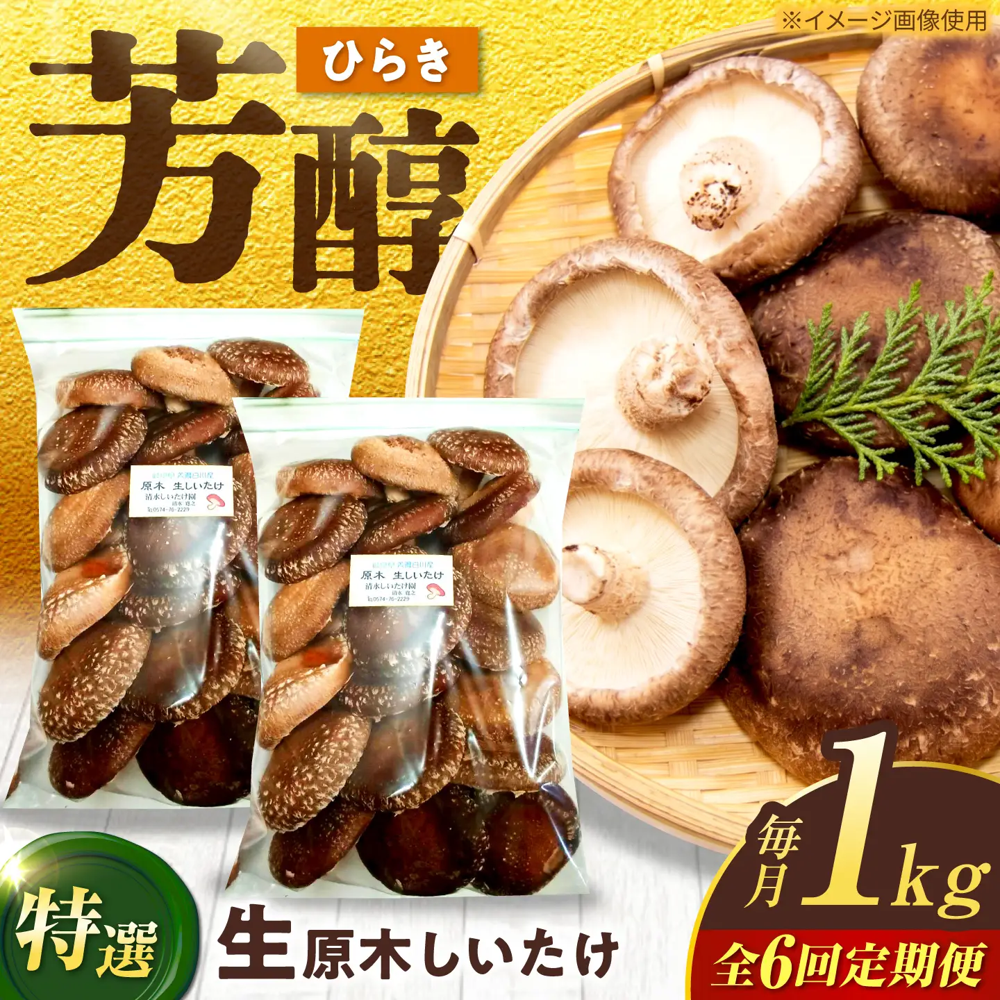 【6回定期便】生しいたけ ひらき 1kg / 清水しいたけ園[AWAY009]椎茸