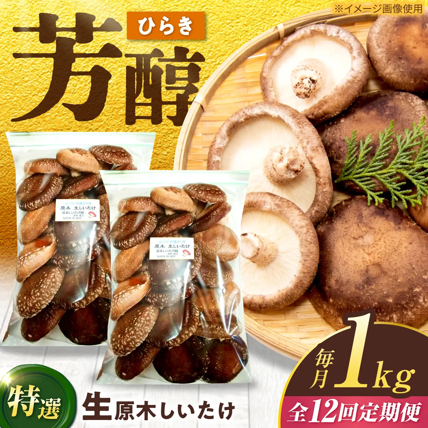 【12回定期便】生しいたけ ひらき 1kg / 清水しいたけ園[AWAY010]生椎茸