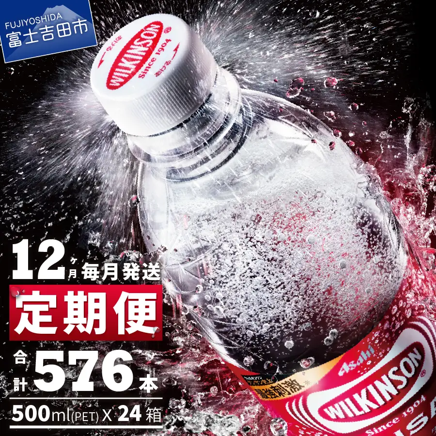 強炭酸水 【12ヶ月お届け！】ウィルキンソンタンサン 2箱 (48本入り) 定期便 アサヒ 炭酸
