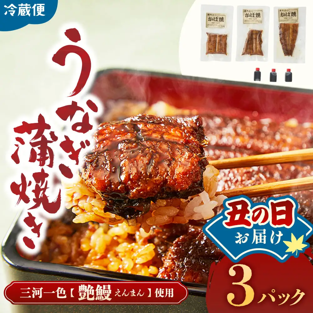 【土用の丑の日お届け】3代目が焼く蒲焼き真空パックA 3パック 鰻