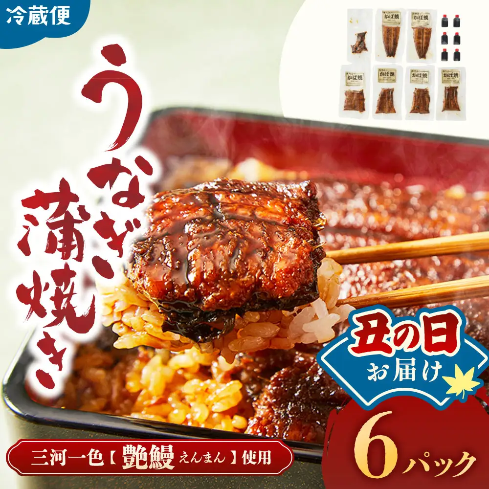 【土用の丑の日お届け】3代目が焼く蒲焼き真空パックB 6パック　鰻　丑の日