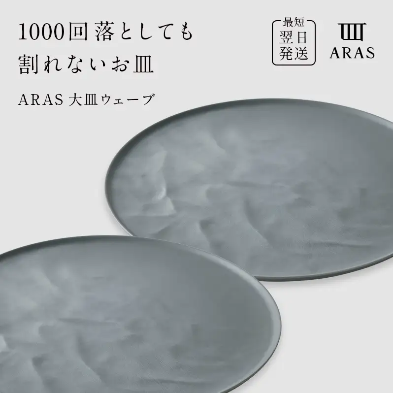 ARAS 大皿ウェーブ 2枚セット【カラー：グリーングレー2枚】27cm 大皿