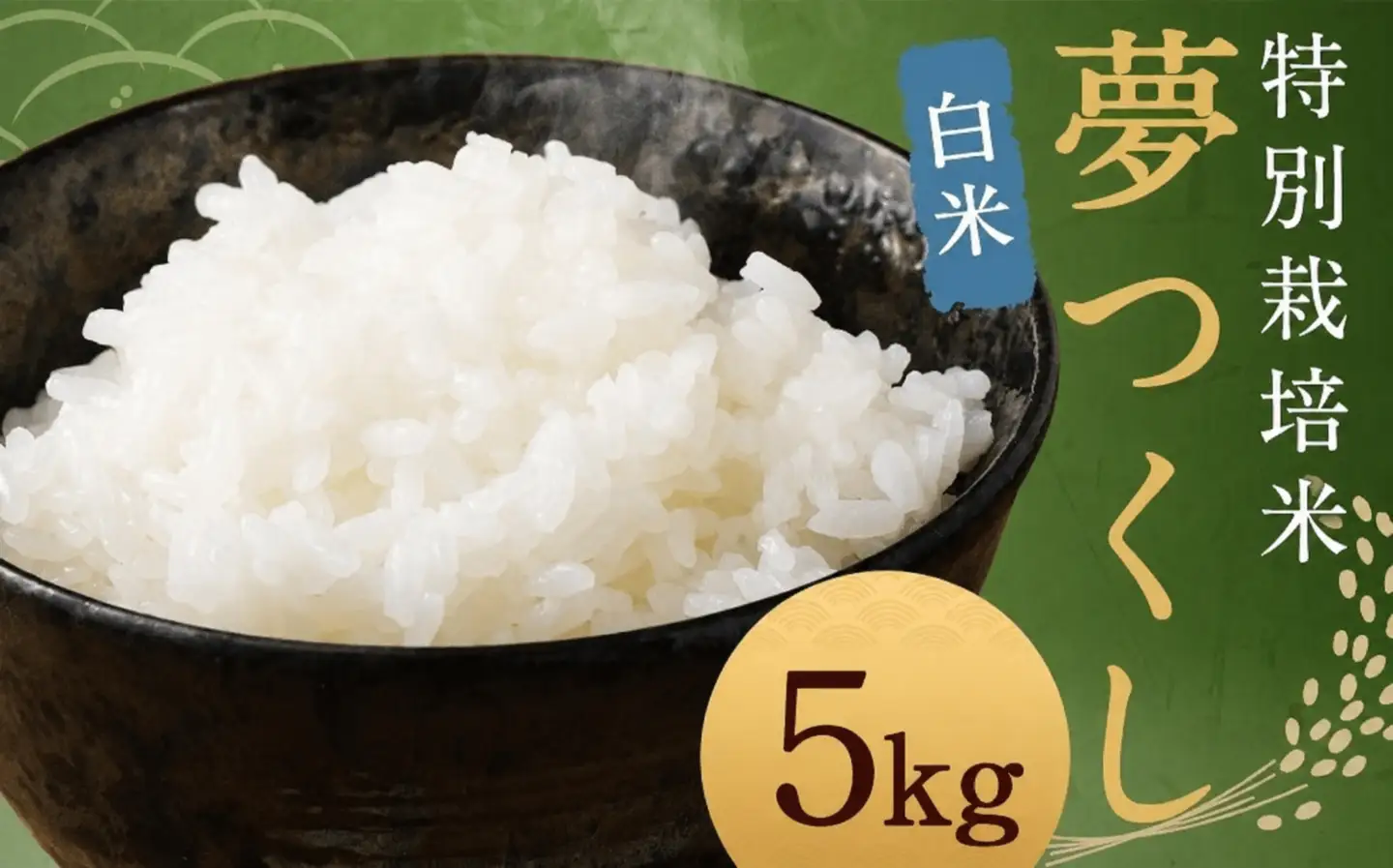 【白米】 夢つくし （特別栽培米） 約5kg 福岡県産 令和7年産 米 こめ コメ