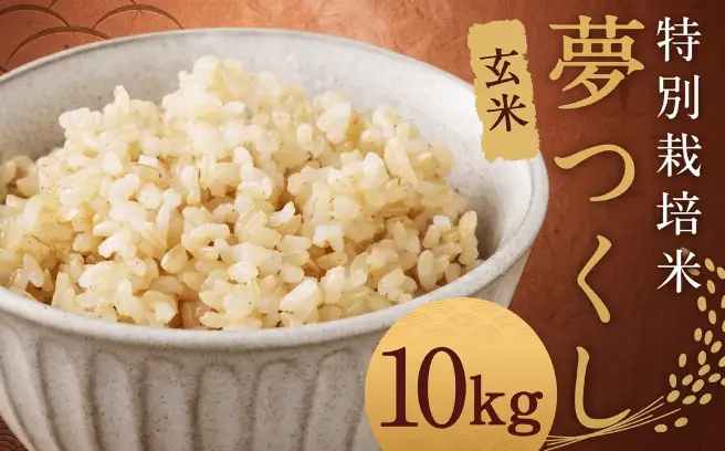 【玄米】 夢つくし （特別栽培米） 約10kg 福岡県産 令和8年産 玄米 米 こめ コメ