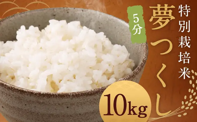 【5分】 夢つくし （特別栽培米） 約10kg 福岡県産 令和8年産 米 こめ コメ