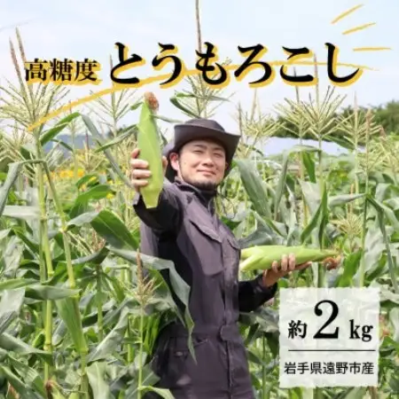 【先行予約】菊池一真の とうもろこし ゴールドラッシュ 約2kg 【2026年7月下旬～発送】【配送不可地域：離島】【1579762】
