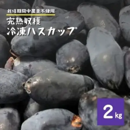 冷凍 ハスカップ 2kg 栽培期間中 農薬不使用 農家 直送 遠野もぐもぐカントリー【配送不可地域：離島】【1634856】