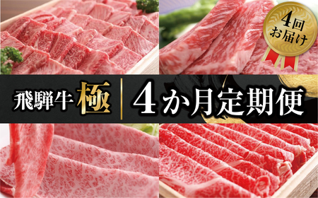 定期便 飛騨牛 "極" 全4回 肉 定期便