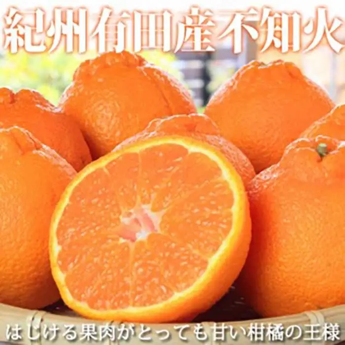 紀州有田産不知火(しらぬひ) 約５kg［2027年2月中旬以降発送］［先行予約］［UT40］