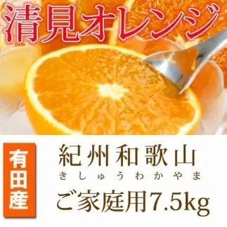 ［ご家庭用訳アリ］紀州有田産清見オレンジ　7.5kg［2027年3月下旬以降発送］［先行予約］［UT54］