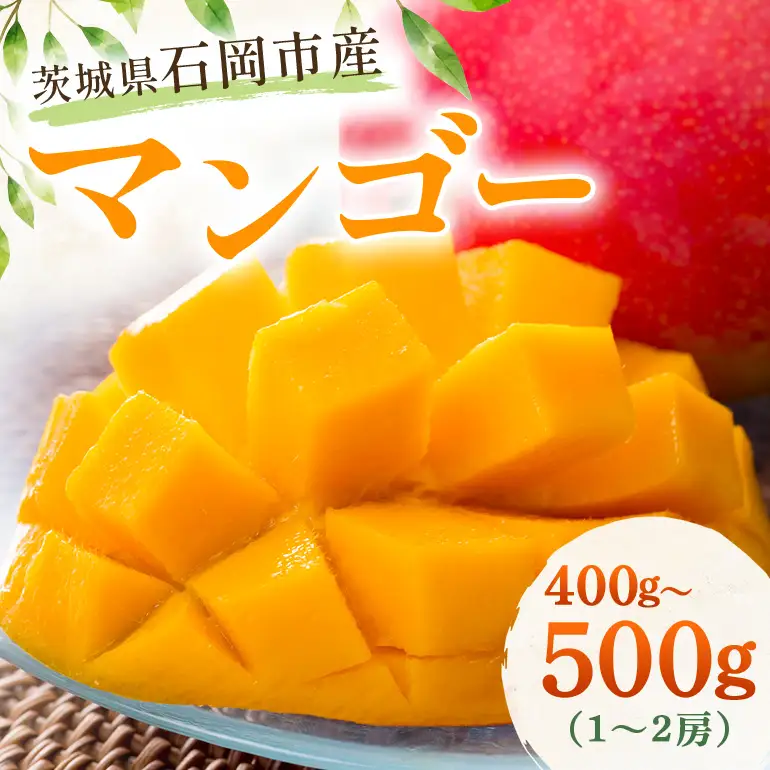 石岡市産　マンゴー 400g ～ 500g　1～2房 A14-018