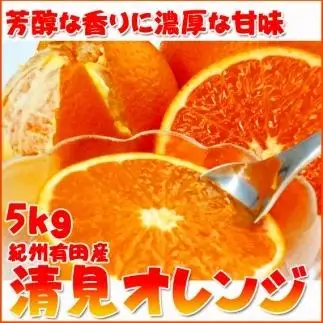 とにかくジューシー清見オレンジ　5kg［2027年3月下旬以降発送］［先行予約］［UT53］