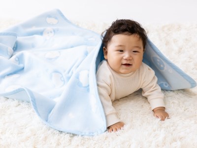 ベビー綿毛布(パンダ柄)ブルー・85×115cm・毛布の町泉大津産 N-PANDA [0713] | ベビーブランケット ベビーブランケット