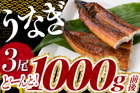 A1526.うなぎの蒲焼３尾（計１，０００ｇ前後）『１～２ヶ月前後でお届け！！』