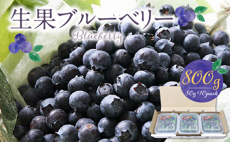 福岡県産 ブルーベリー生果 800g_ブルーベリー 生果 80g × 10パック 計 800g 直送 旬 完熟ブルーベリー アントシアニン 生の果物 使いやすい 腸内環境改善 個包装 冷凍保存 シャーベット アイス ヨーグルト アレンジ フルーツ デザート 果物 福岡県 久留米市 お取り寄せ 送料無料 〔Fx004〕