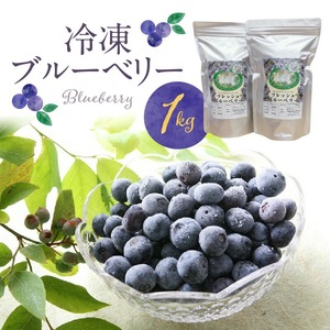 冷凍ブルーベリー 1kg_冷凍 ブルーベリー １kg 完熟 自家農園 ミキサー アイス ヨーグルト シャーベット スムージー アントシアニン 疲れ目 腸内環境 国産 ジャム レシピ 冷凍フルーツ 果物 フルーツ お取り寄せ くだものお取り寄せ 福岡県 久留米市 送料無料 〔Fx005〕