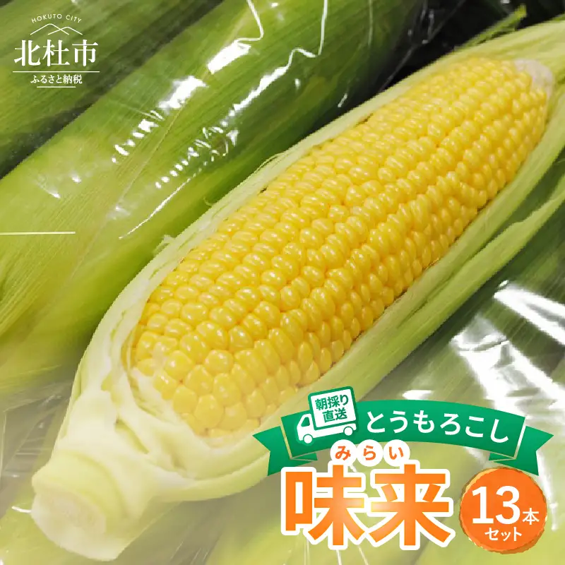 【2026年先行予約】北杜市産とうもろこし『味来（みらい）』朝採り直送13本セット [h019]