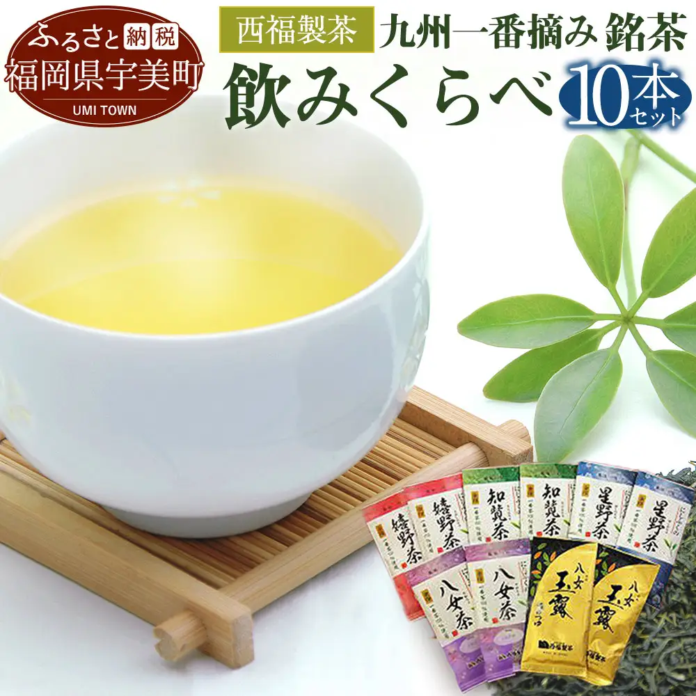 緑茶 飲み比べ 九州 一番摘み 銘茶 5種 各2本 [um40azo790004] お茶