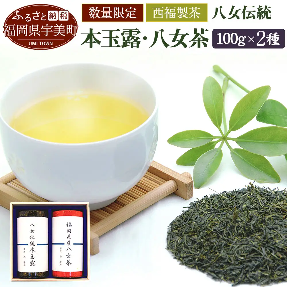 緑茶 飲み比べ 八女伝統 本玉露 八女煎茶 2種 [um40azo790005] お茶