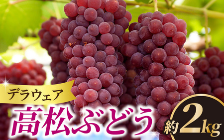 【先行予約 2026年収穫分】高松ぶどう デラウェア 約2kg入り（およそ9～10房） 1箱【配送不可地域：北海道・沖縄県・離島】｜ぶどう フルーツ 果物