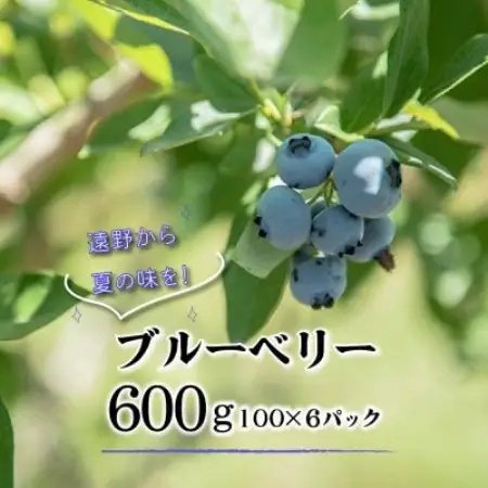 ブルーベリー 生 大粒 完熟 600g 化粧箱入 岩手県 遠野市 門前おくでらブルーベリー園【配送不可地域：離島・沖縄県・九州】【1745772】