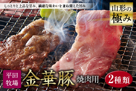 山形の極み 平田牧場 金華豚 焼肉用 F2Y-0294