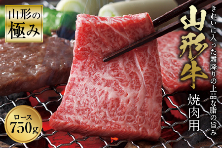 山形の極み 山形牛 焼肉用 F2Y-0977