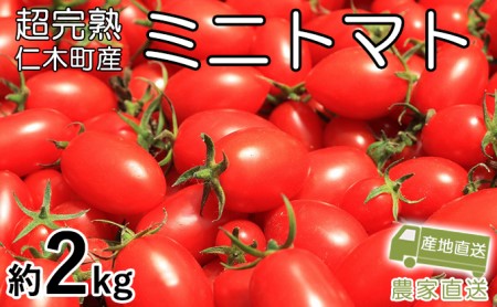 8月発送開始[2026年発送] 超完熟ミニトマト【 アイコ 】2kg（1kg×2箱）栽培期間中 農薬・除草剤不使用 サイズ混載 トマト ミニトマト 野菜 北海道 仁木町 [アイコファーム] 