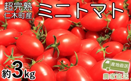 8月発送開始[2026年発送] 超完熟ミニトマト【 アイコ 】3kg 栽培期間中 農薬・除草剤不使用 サイズ混載 トマト ミニトマト 野菜 北海道 仁木町 [アイコファーム] 