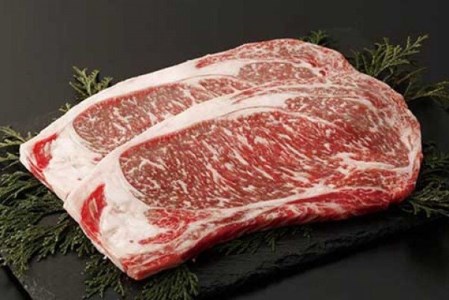 【矢野畜産】産地直送 くまもと 和牛 ロースステーキ 400g 赤身 サシ プレミアムハンバーグ 150g 5個 750g 熊本 阿蘇 国産 あか牛 褐毛和種 あかげわしゅ 矢野畜産 にくやの 老舗 おうちごはん おうち時間 通販 贈答 ギフト 阿蘇の自然の宝物