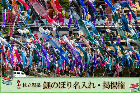 【杖立温泉観光協会】先行予約 令和9年度 受付開始 鯉のぼり 名入れ 掲揚権 熊本 阿蘇 杖立温泉 鯉のぼり祭 お子様 お孫様 端午の節句 特別な贈り物 年に一度 期間限定 イベント 映えスポット（杖立温泉鯉のぼり祭）