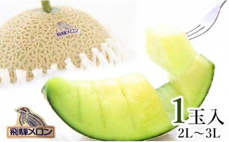 メロン 飛騨メロン 約1.5kg 化粧箱入 7月中旬～8月上旬発送 CY032-26-CP01 FN-Limited-PR