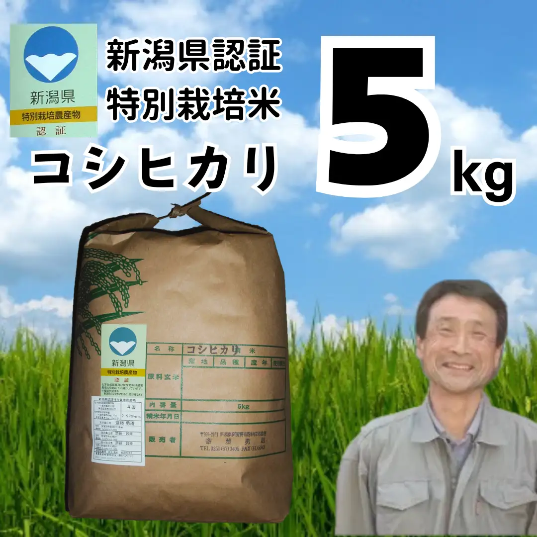【令和7年産】特別栽培米 コシヒカリ 5kg 新潟県認証 新潟県 米 こめ コメ 白米 精米 さいとう農園 1G01021