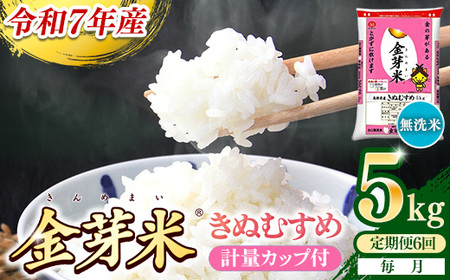 【定期便】BG無洗米・金芽米きぬむすめ 5kg×6ヵ月【毎月】計量カップ付き【令和7年産 6ヶ月 計30kg 東洋ライス 健康 島根県 安来市】【価格改定】【90-SS-04】