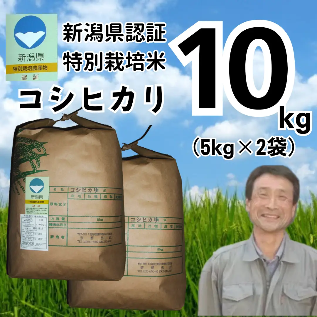 【令和7年産】特別栽培米 コシヒカリ 10kg  新潟県認証 新潟県 米 こめ コメ 白米 精米 さいとう農園 1G02041