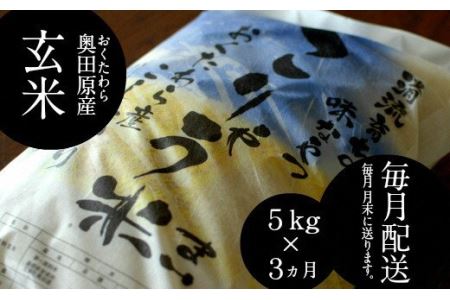 安来のお米【定期便】 こりゃう米（まい）玄米 5kg×3回（毎月）令和7年産 コシヒカリ