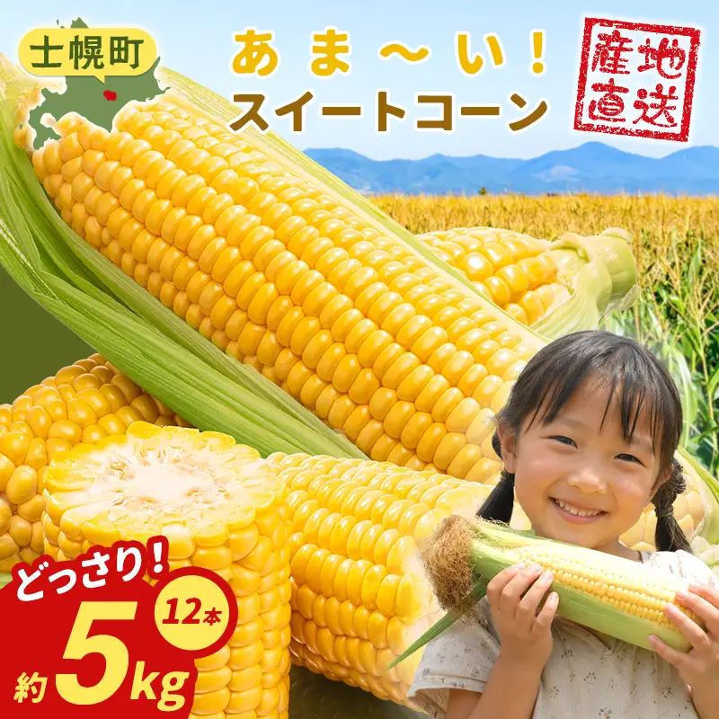 《期間限定》北海道 士幌産  とうもろこし  12本  (2026年8月上旬～発送開始予定) 約5kg スイートコーン 採れたて コーン 期間限定 新鮮 野菜 産地直送 産直 お取り寄せ 送料無料 十勝 士幌町【V02】