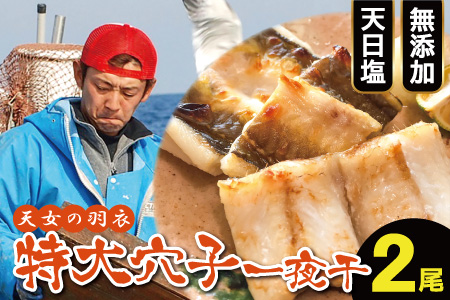 特厚 特大 穴子 一夜干し 2尾 50cm前後【あなご一夜干し 50cm前後 2尾 2枚 穴子干物 穴子 アナゴ あなご 干物 一夜干し 特大サイズ 無添加 天日塩 新鮮 冷凍 真空パック 贈答 父の日 母の日】
