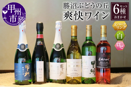 ワイン 爽快ワイン6種セット （KBO）E-603