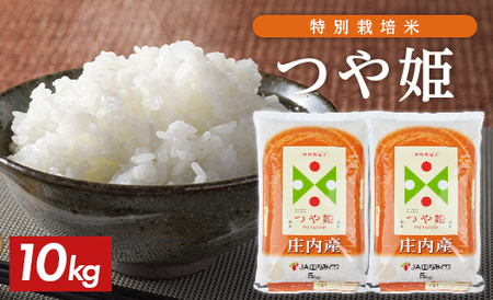SC0707　特別栽培米 つや姫 5kg×2袋 計10kg 令和7年産米 山形県庄内産 東北 山形県 酒田市 庄内地方 庄内平野 お米 精米 白米 ブランド米 庄内米 ごはん ご飯 農協 産地直送 JA庄内みどり