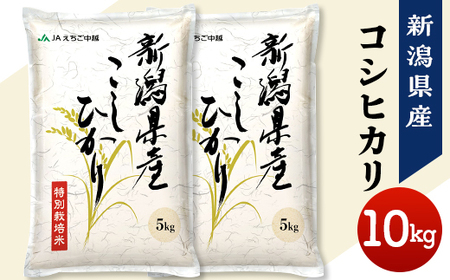 75-7N101B新潟県長岡産コシヒカリ10kg（特別栽培米）【2026年5月発送】