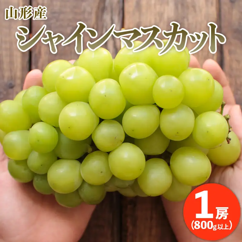ぷりぷりの大房シャインマスカット 1房(800g以上) 【令和8年産先行予約】FU20-466 くだもの 果物 フルーツ 山形 山形県 山形市 2026年産