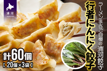 行者にんにく餃子(20個x3袋)[04-617]